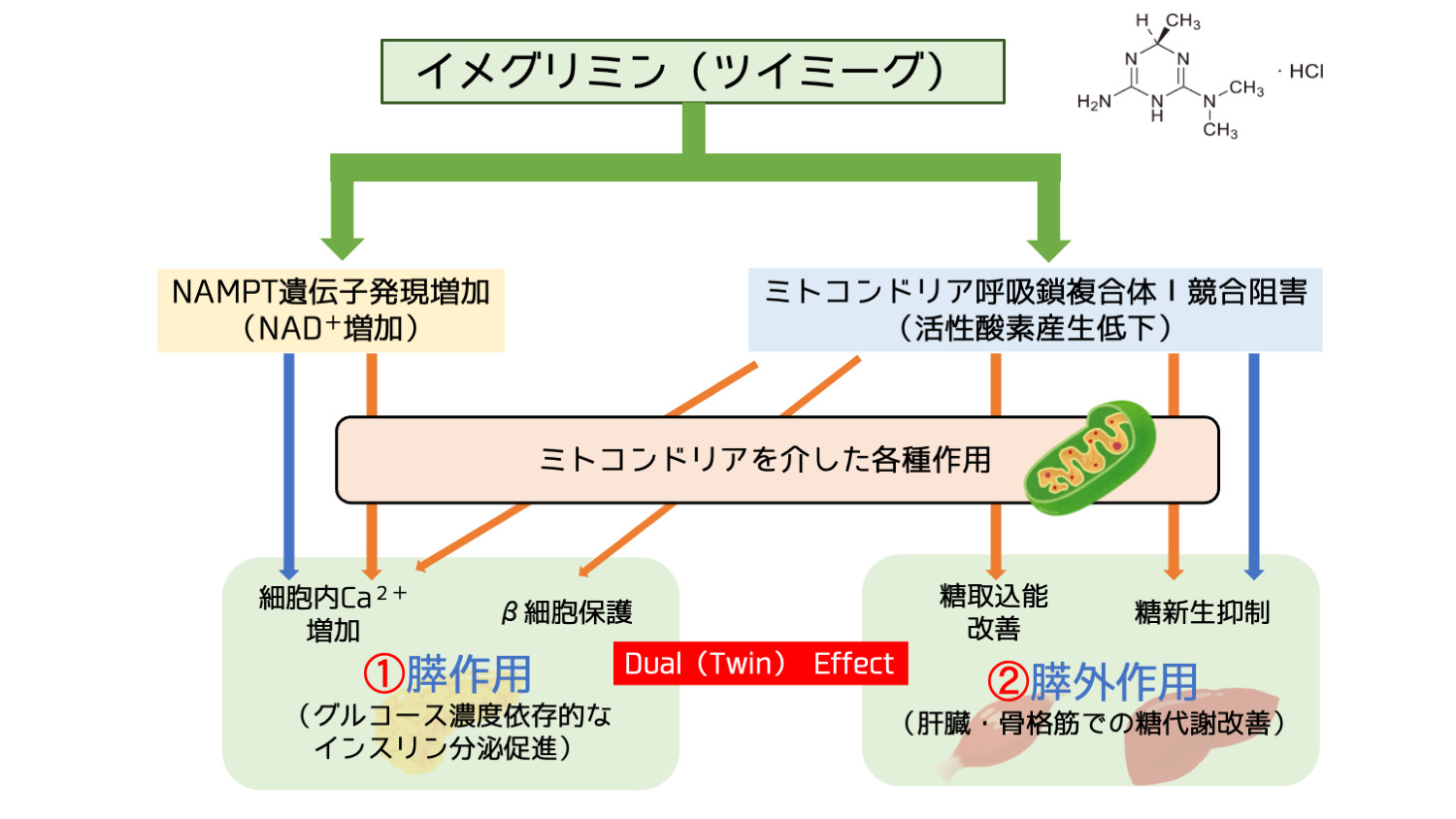 低血糖の治療方法